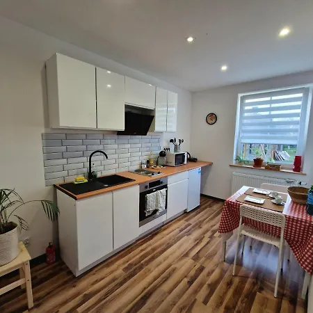 Apartament 5 Minut Od Parku Zamkowego Pszczyna Exterior photo