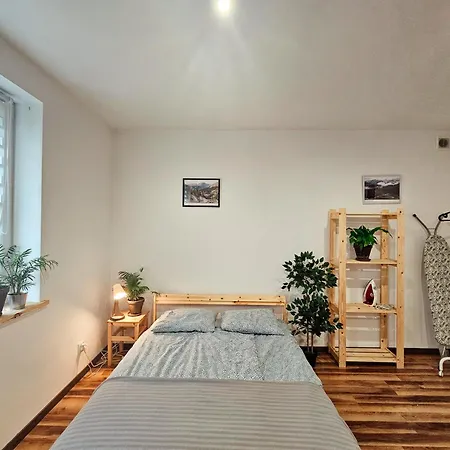 Apartament 5 Minut Od Parku Zamkowego Pszczyna Exterior photo