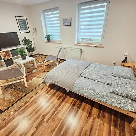 Apartament 5 Minut Od Parku Zamkowego Pszczyna Room photo