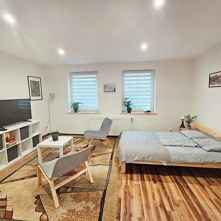 Apartament 5 Minut Od Parku Zamkowego Pszczyna Room photo