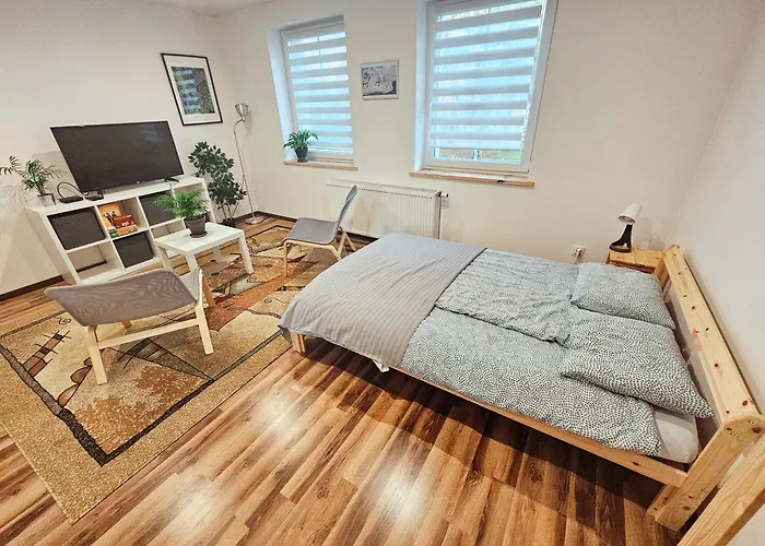Apartament 5 Minut Od Parku Zamkowego