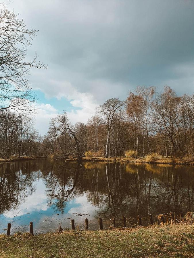 5 Minut Od Parku Zamkowego